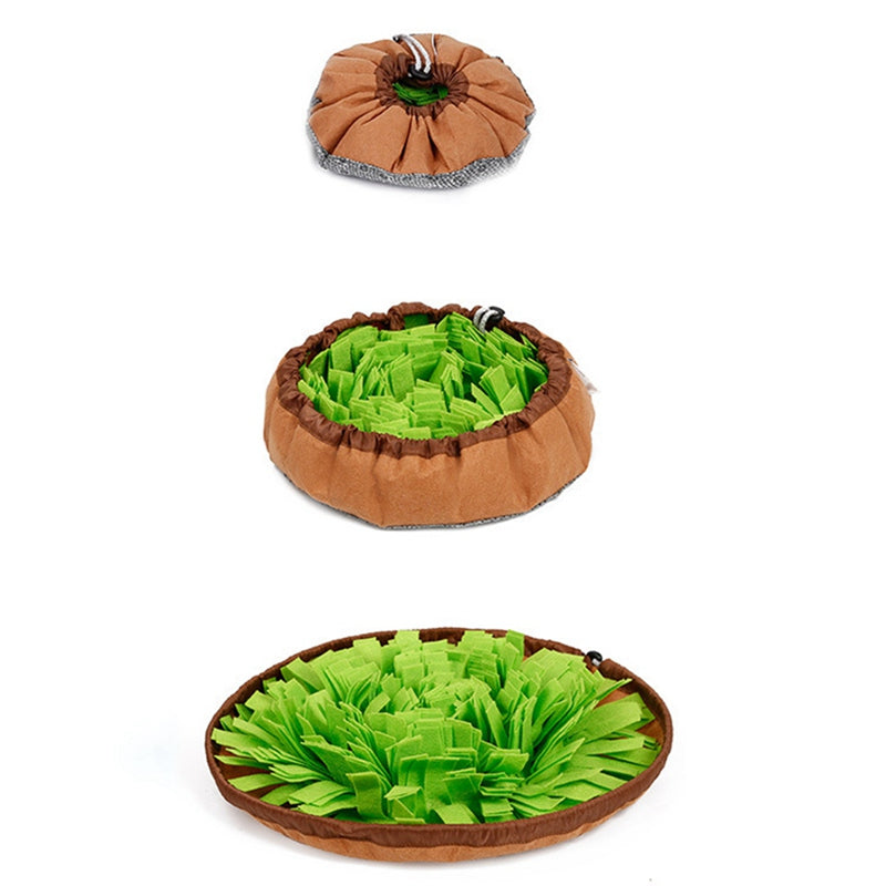 Anti-Choking Tibetan Food Training Pet Sniffing Mat