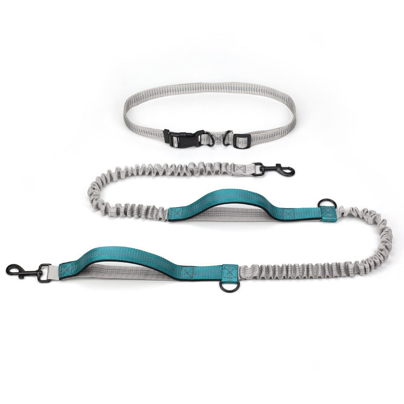 Outdoor Running Dog Leash