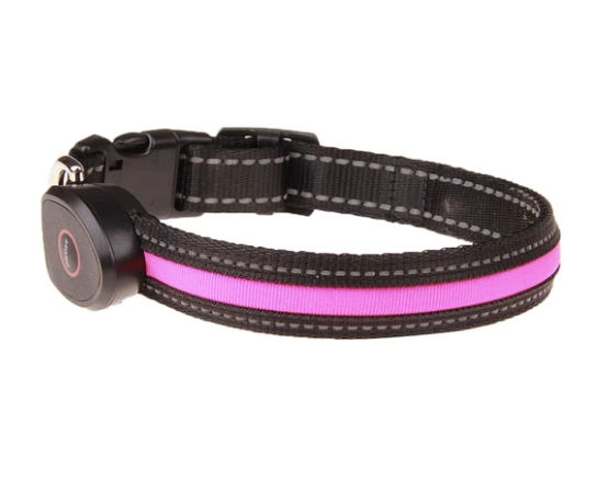 Dog Luminous Collar
