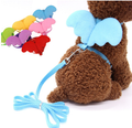 Little Angel Wings Leash