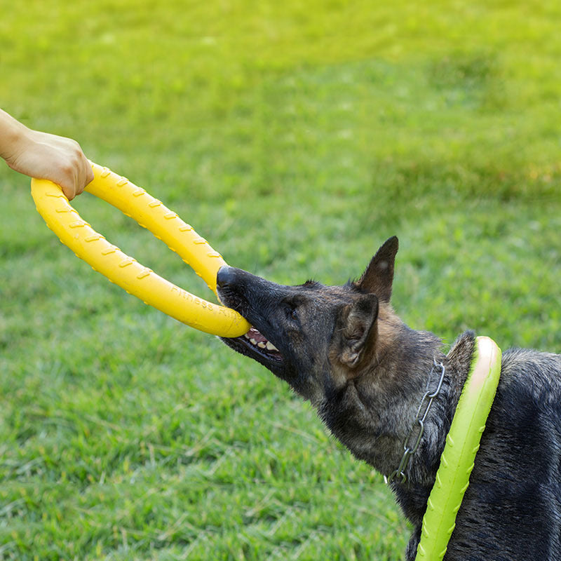 EVA Dog Training Ring Toy
