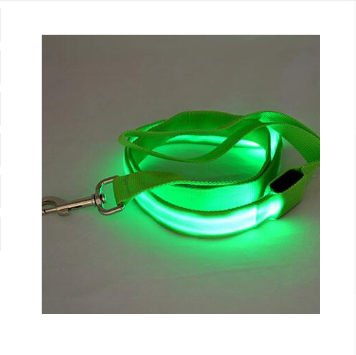 LED Illuminated Nylon Pet Leash