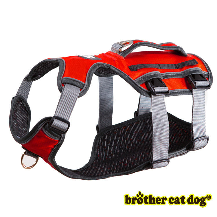 Dog Thoracolumbar Band