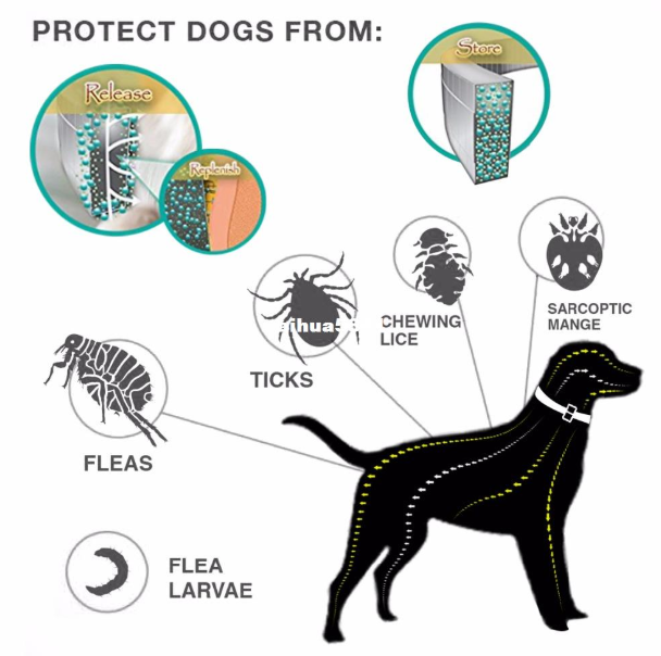 Premium Flea And Tick Collar