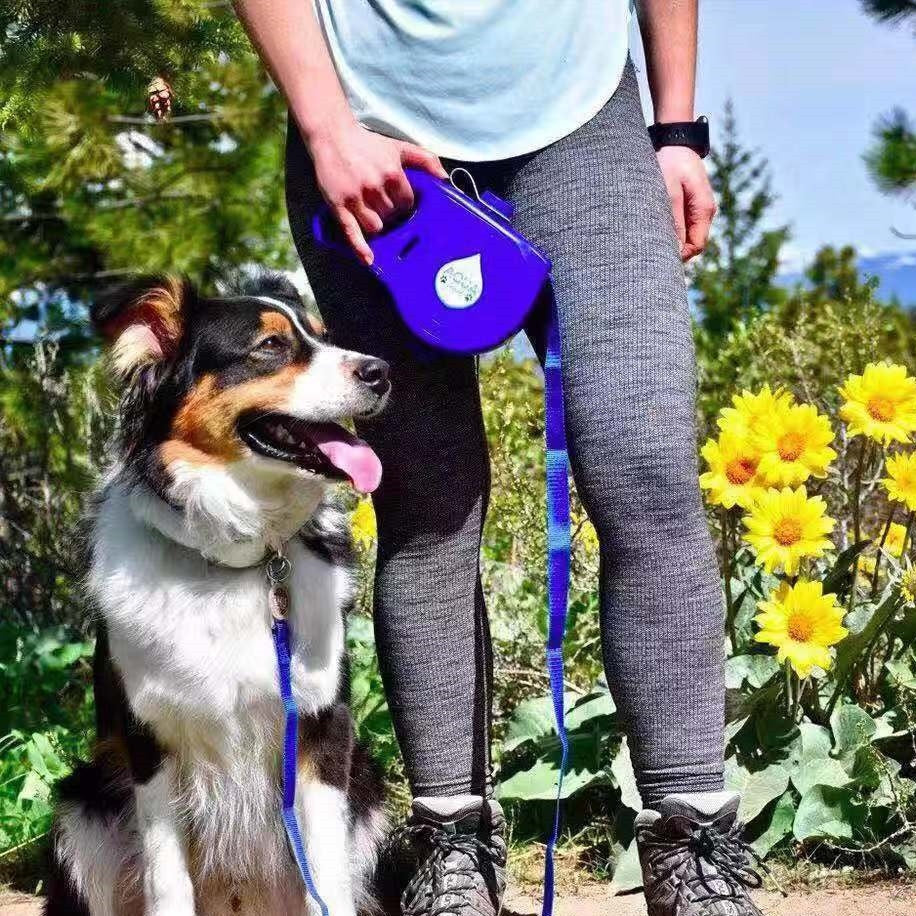 Multifunctional Portable Pet Leash