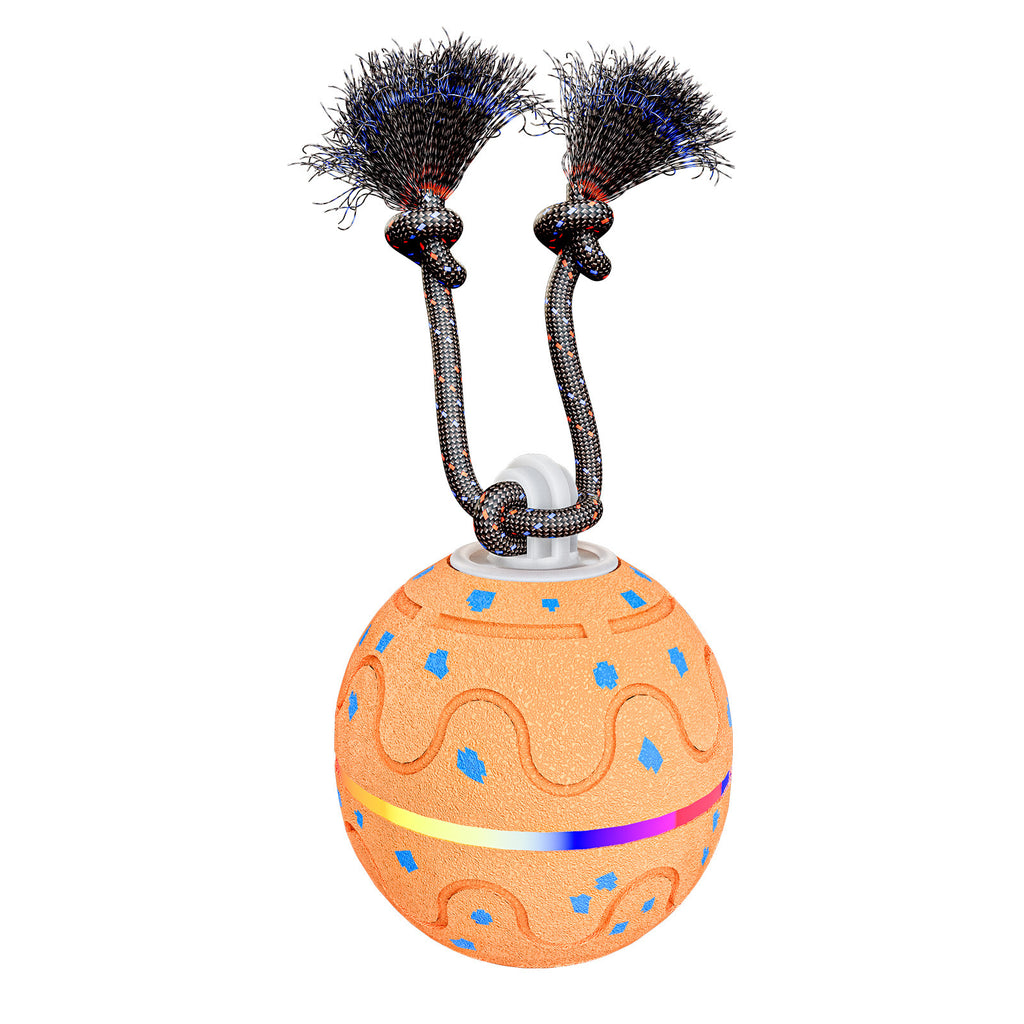 Electric ETPU Toy Ball With Sound, Light, Leash