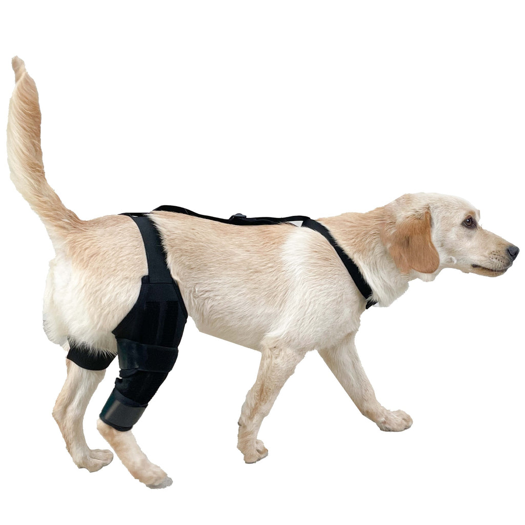 Dog Leg Protector with Knee Brace