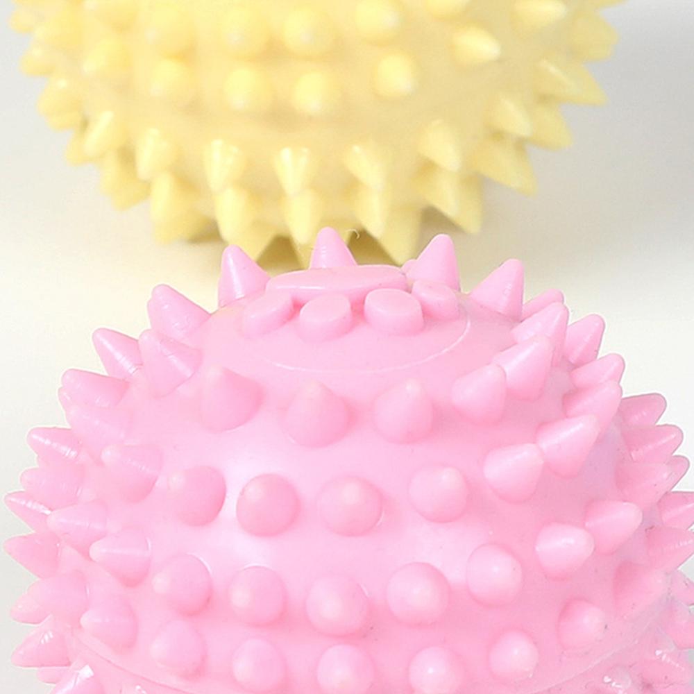 Tpr Pet Molars Interactive Toy