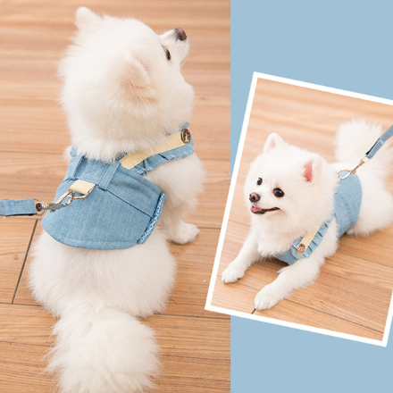 Cute Pet Dog Harness and Leash Set