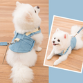 Cute Pet Dog Harness and Leash Set