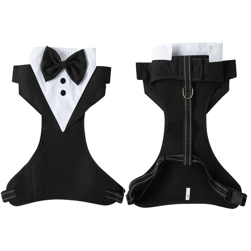 Integrated Chest Strap Harness With Hand Rope