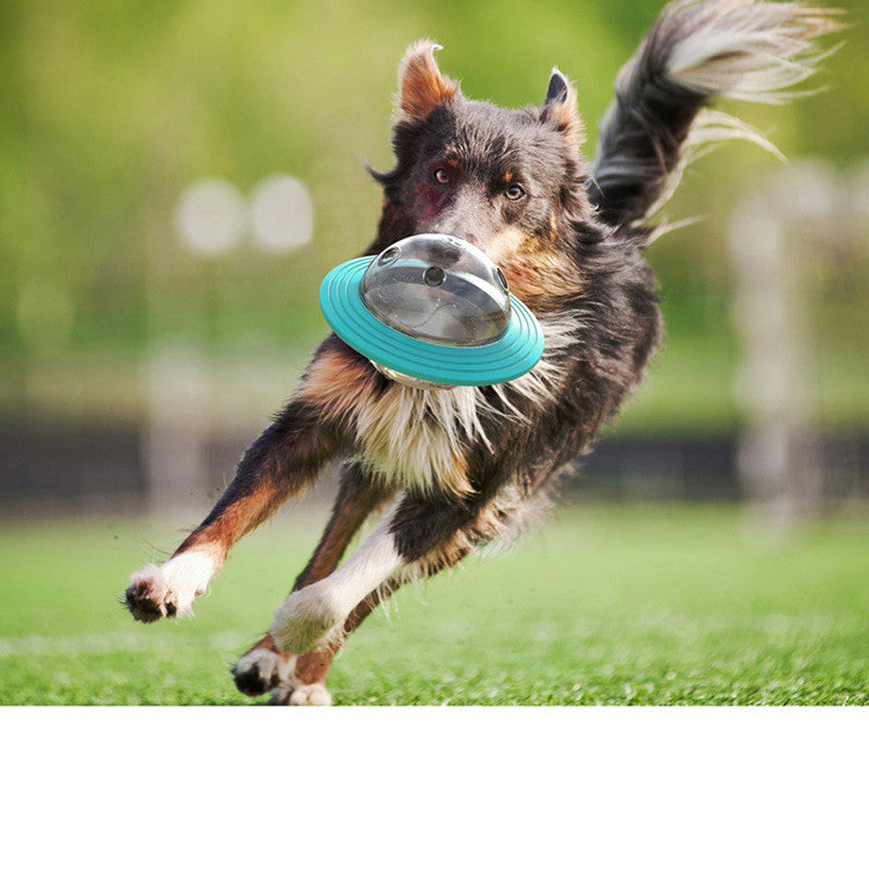 Educational Leak-Feeding Pet Toy