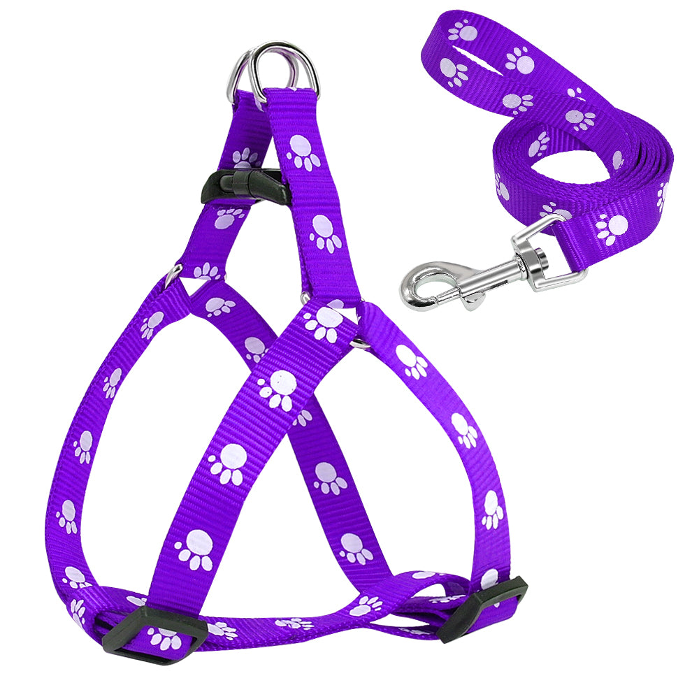 Printed Dog Leash