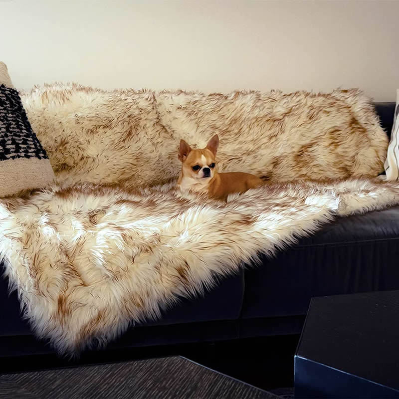 Machine Washable Waterproof Dog Couch Bed