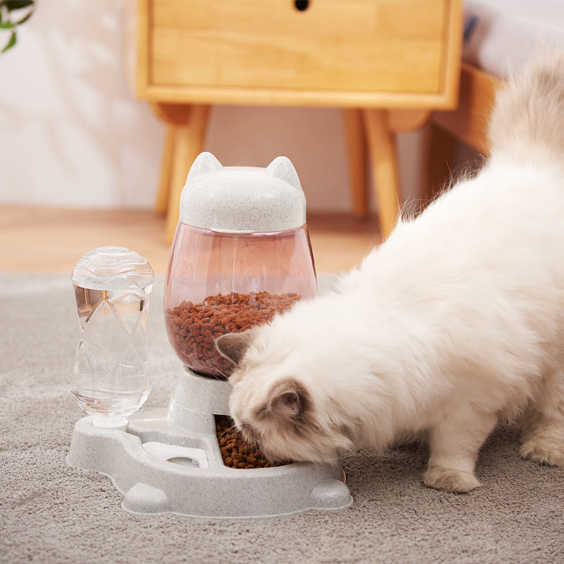 Two-In-One Automatic Pet Feeder
