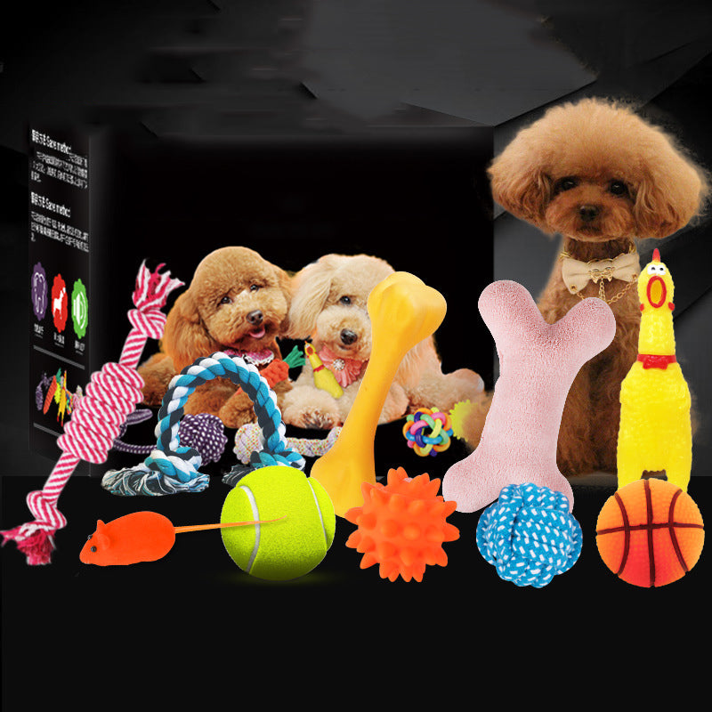 Vocal Dog Toy Set