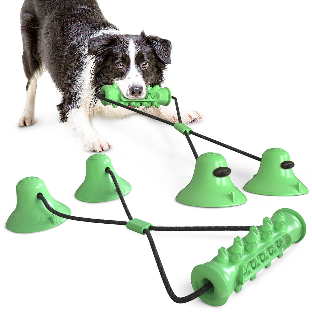 Double Suction Cup Pull Dog Toy Molar