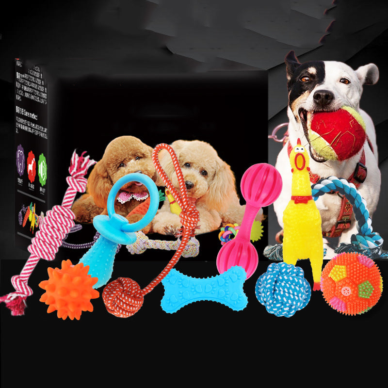 Vocal Dog Toy Set