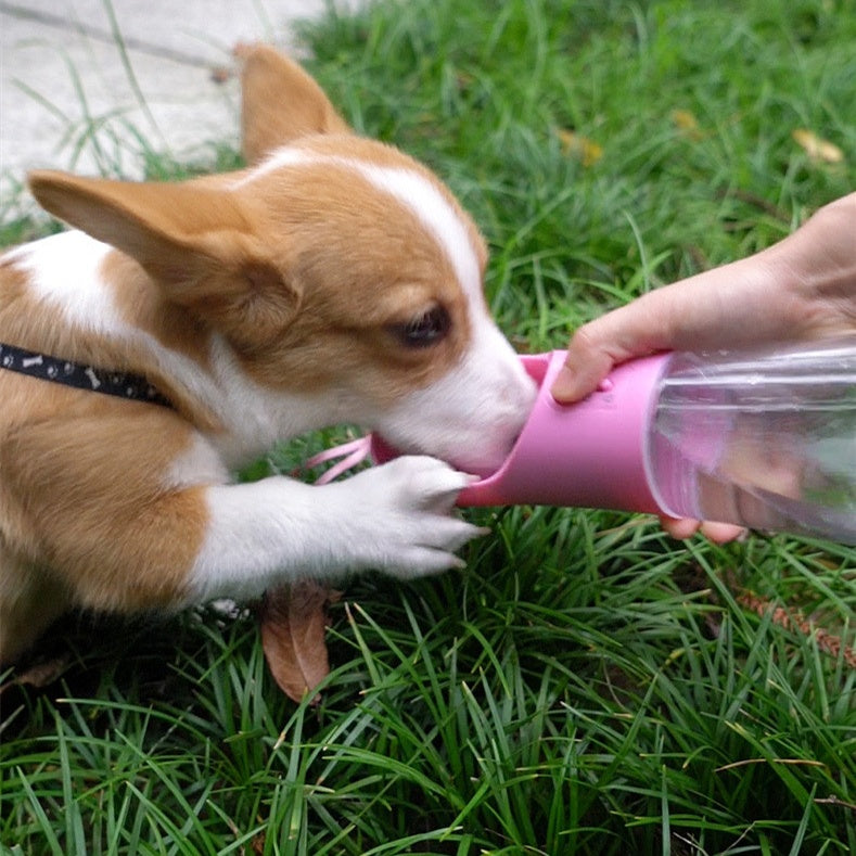 Portable Leak Proof Pet Water Bottle