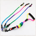One Leash for Three Dogs