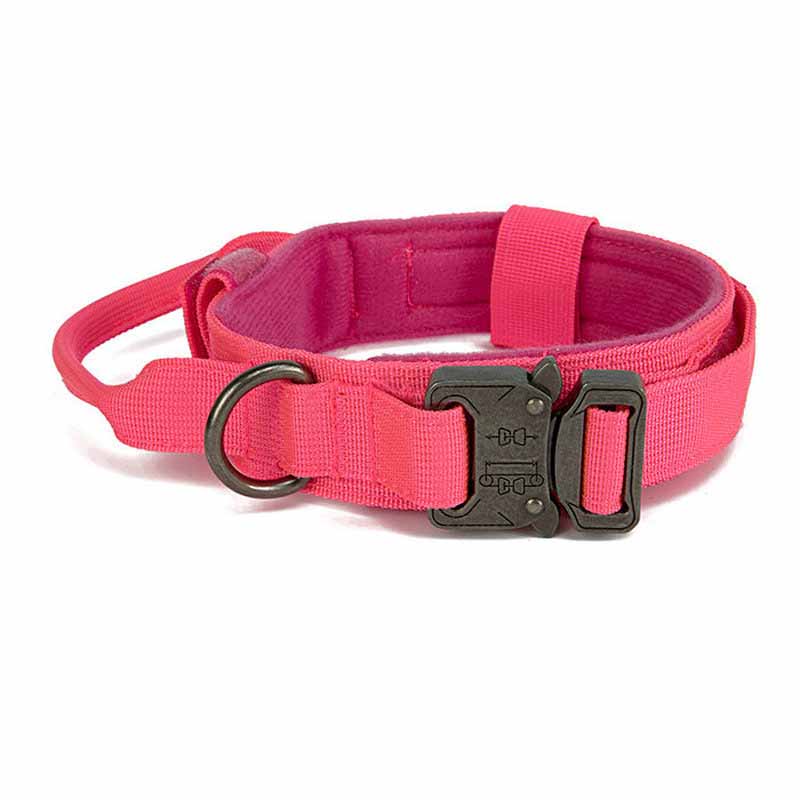 Simple Solid Color Outdoor Traction Pet Collar