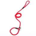 Nylon Dog Leash