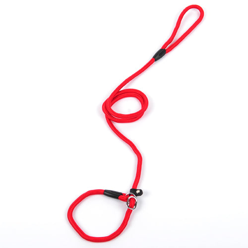 Nylon Dog Leash