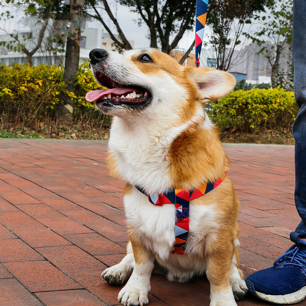 Polyester Pet Leash Collar