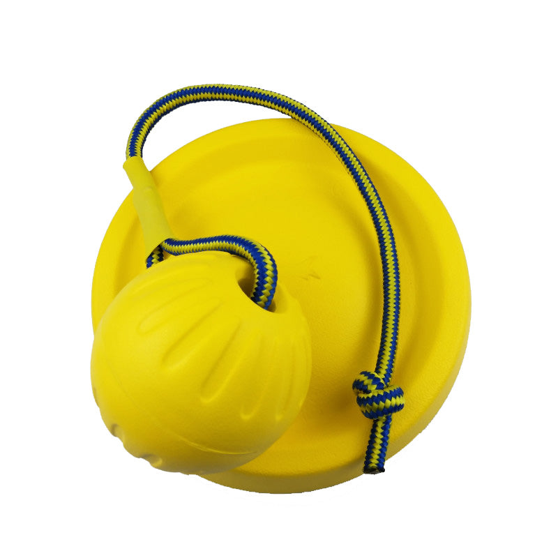 EVA Pet Training Toy