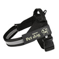 Dog Leash And Chest Harness