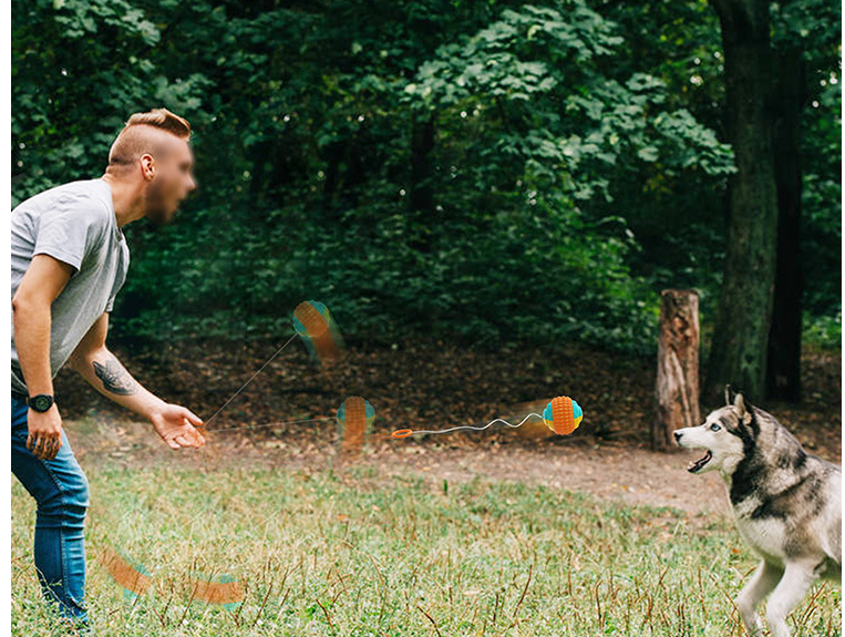 Draw Rope Dog Throwing Ball