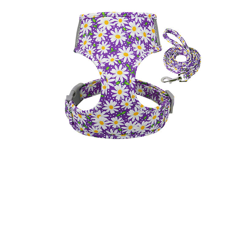 Collar And Chest Strap