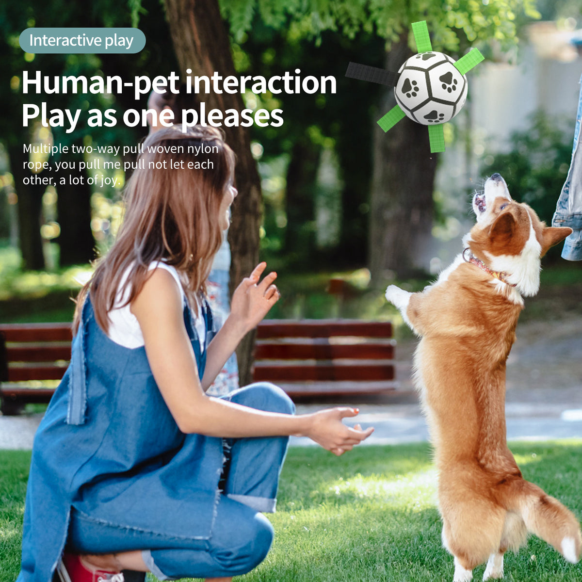 Interactive Inflated Dog Football Toy