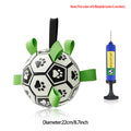 Interactive Inflated Dog Football Toy