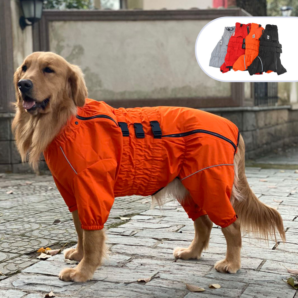 Four-Legged Dog Raincoat