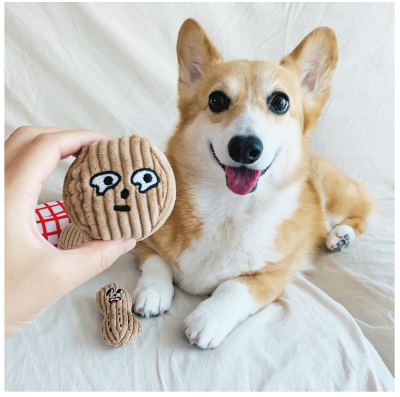 Hidden Food Toys For Dogs