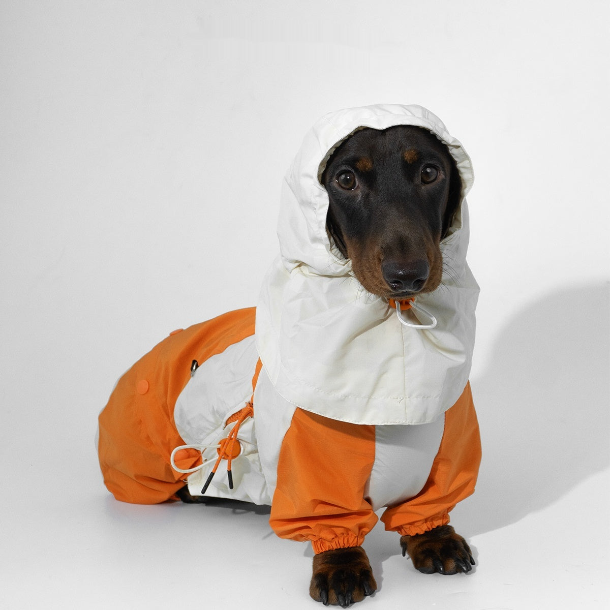 Winter Color Matching Pet Clothes