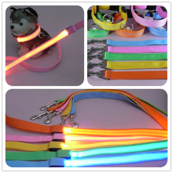 LED Illuminated Nylon Pet Leash