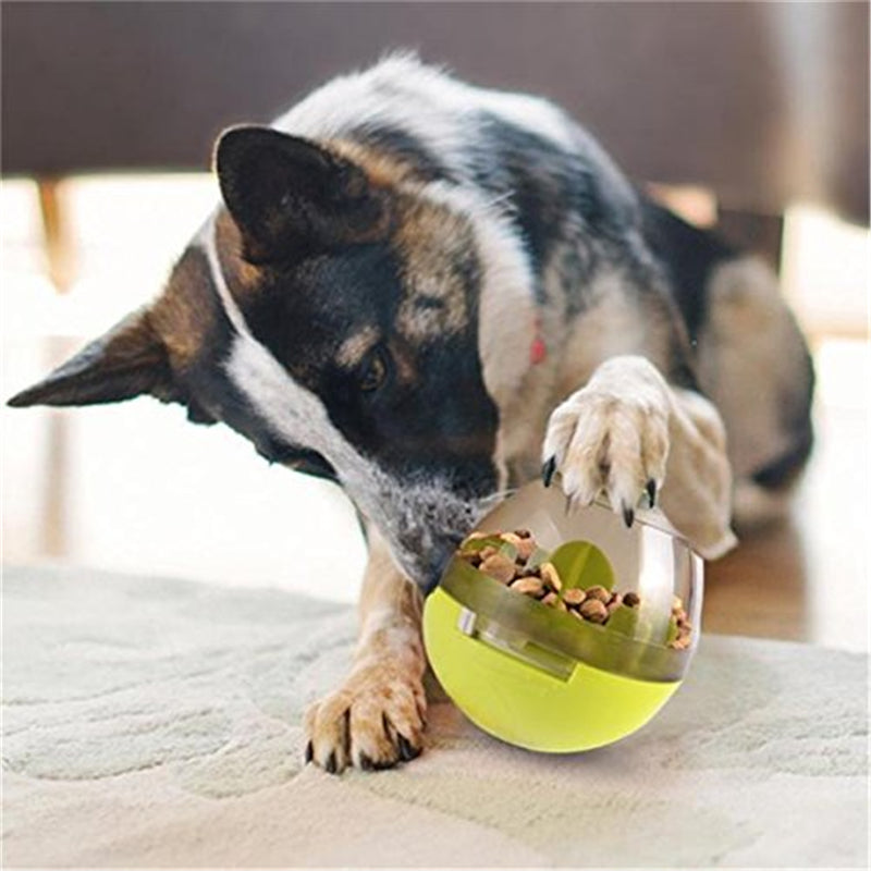 Dog Food Leaker Toy