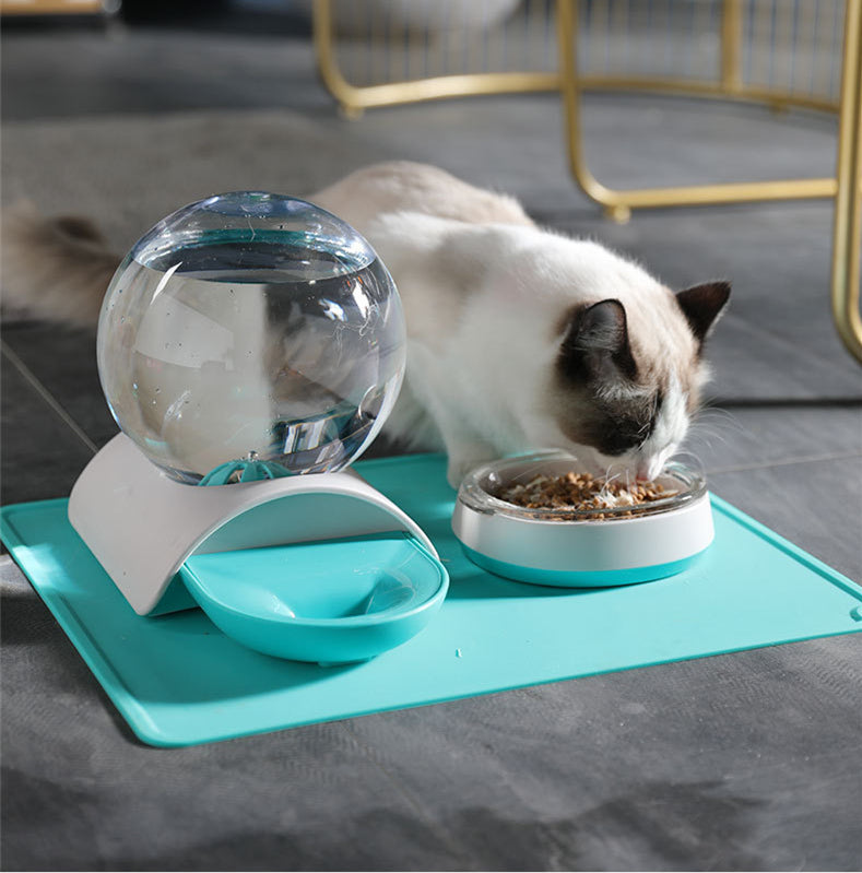 Pet Feeding Water Bowl