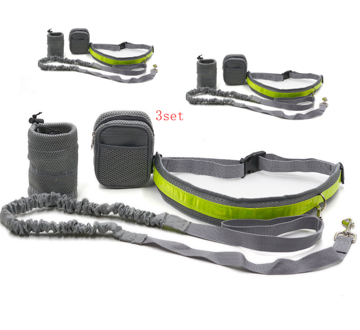 Adjustable Hands-Free Dog Leash