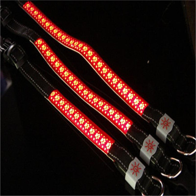 LED Light Dog Collar