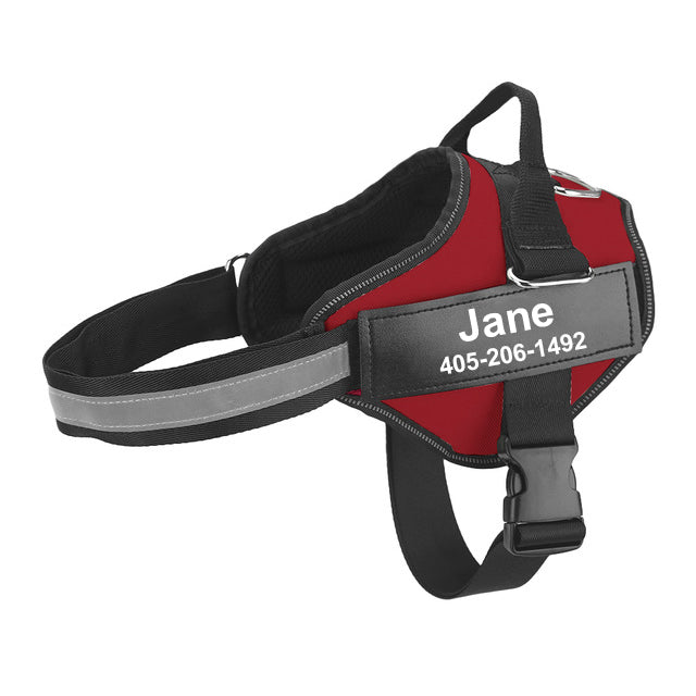 Multicolor Personalized Pet Chest Strap