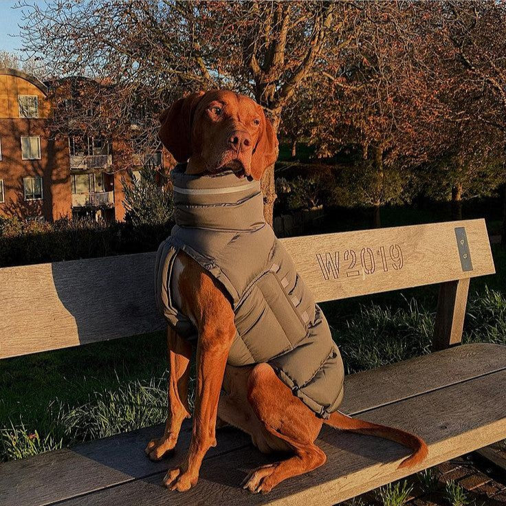 Thickened Thermal Cotton Dog Coat