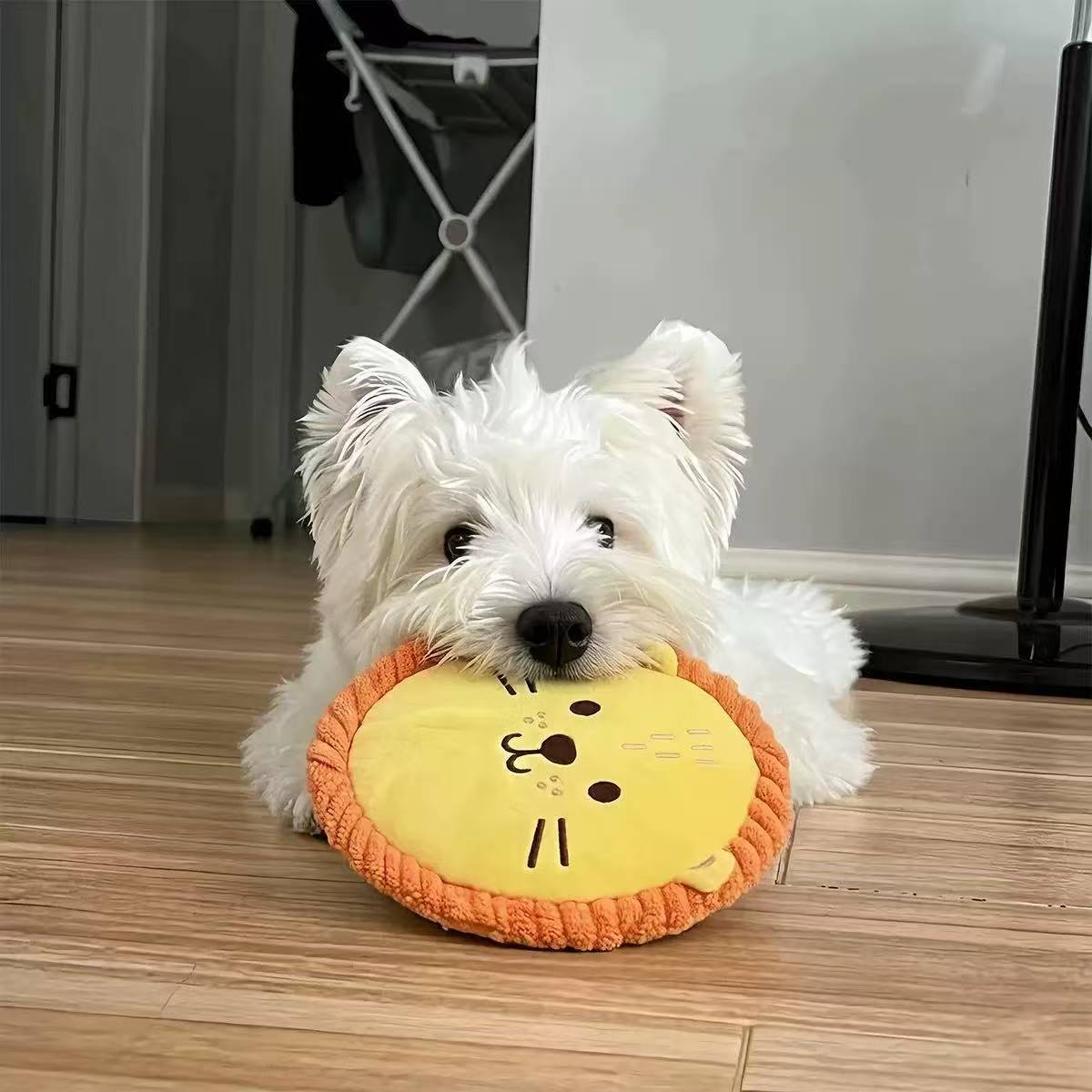 Round Plush Squeaky Dog Toy