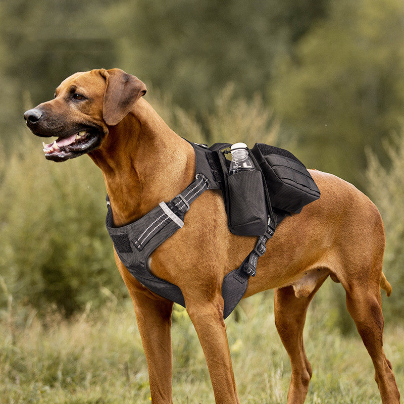 Waterproof Dog Walking Chest Strap