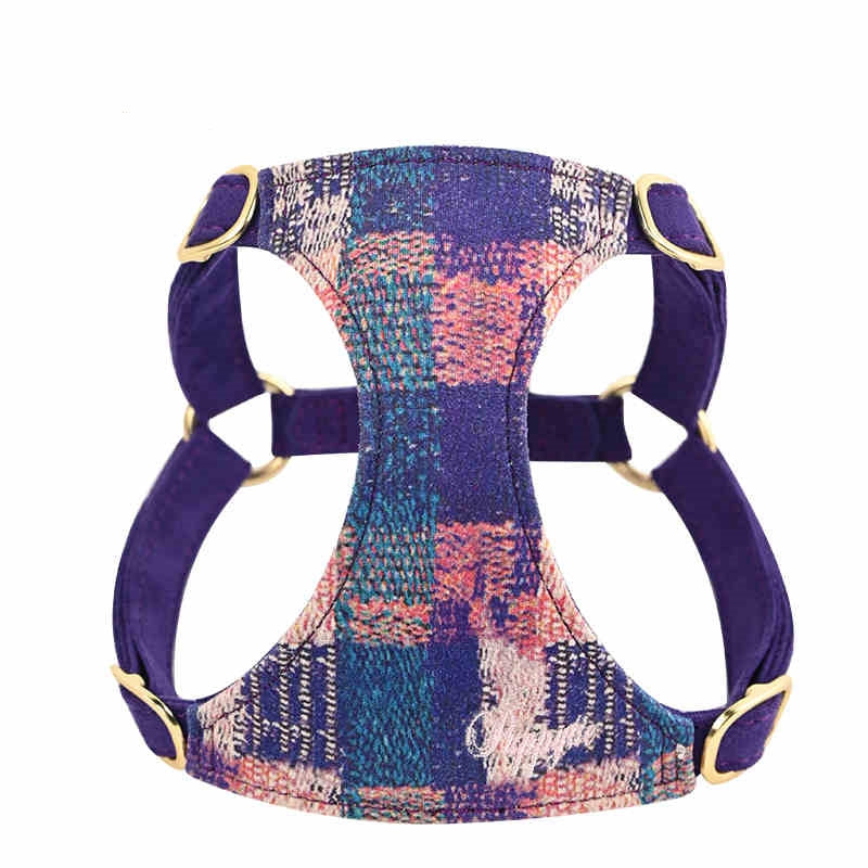 Dog Hand Holding Rope Vest Walking Dog