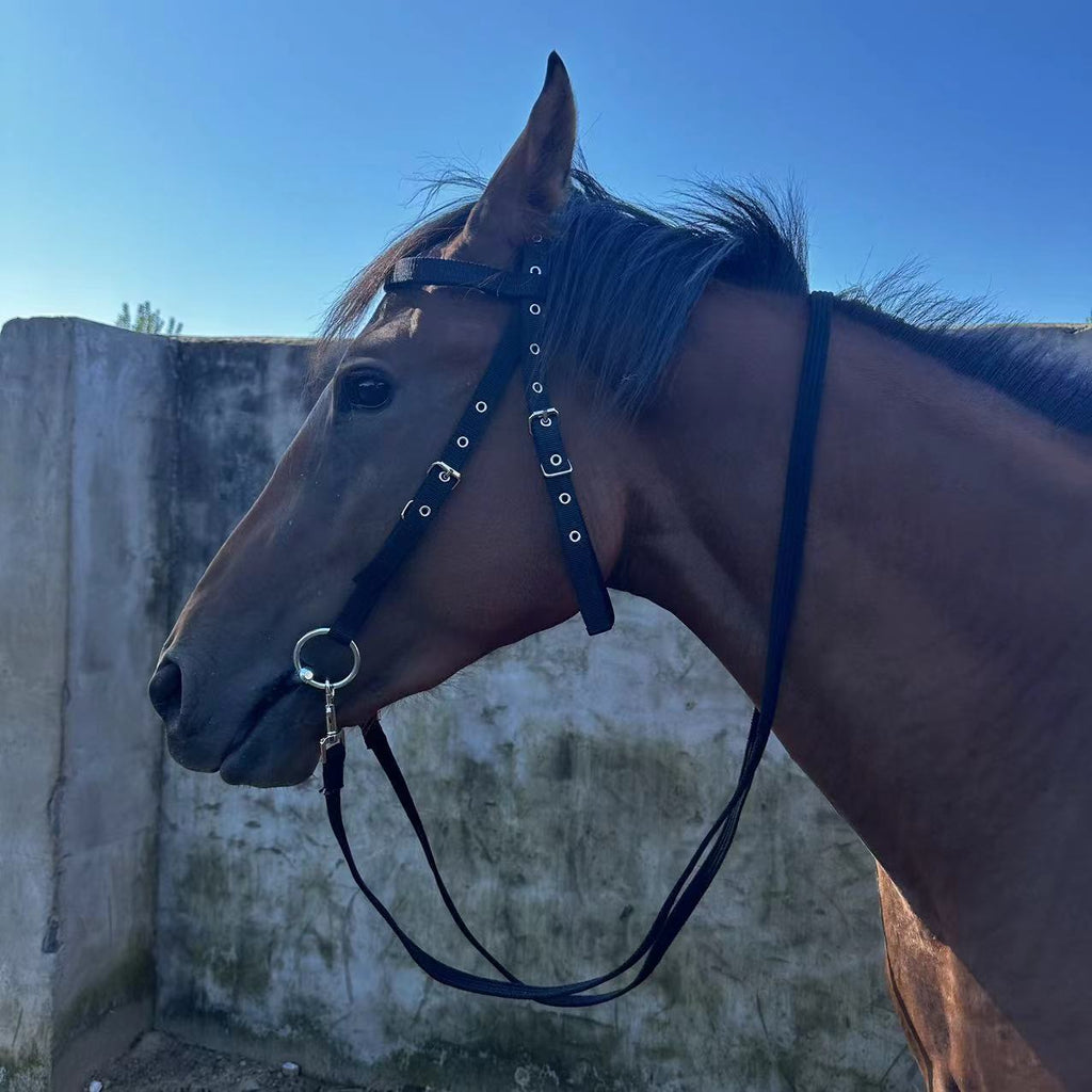 Fiber Horse Halter Bridle Rope
