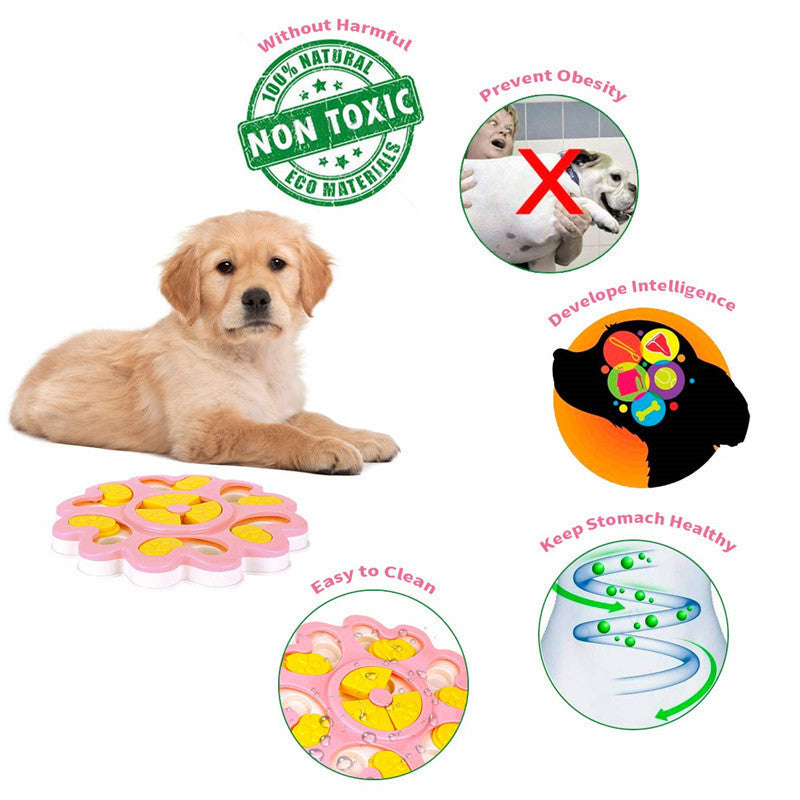 Dog Food Tray