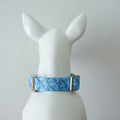 Lightweight Pet Collar with Blue Plastic Buckle
